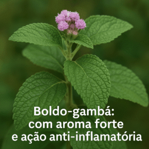 Boldo- Gambá