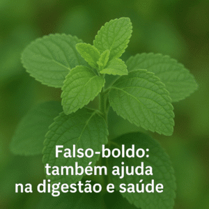 Boldo -Falso